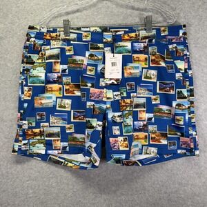 Robert Graham Swim Trunks Mens Large Blue Postcards Print Lined Quick Dry